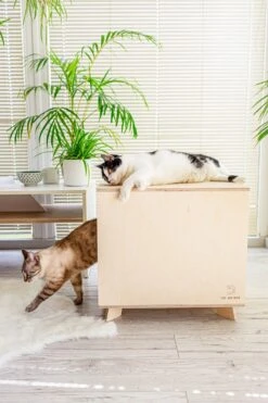 Catandwood Kattenhuis - Kattenbakcontainer - Kattenbak Ombouw - Hout -Kattenbenodigdheden Winkel 799x1200 3