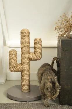Designed By Lotte Houten Cactus - Krabpaal - Taupe - 35 X 35 X 60 Cm -Kattenbenodigdheden Winkel 800x1200 10