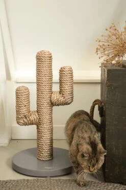 Designed By Lotte Houten Cactus - Krabpaal - Taupe - 35 X 35 X 60 Cm -Kattenbenodigdheden Winkel 800x1200 13