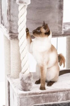 Petrebels Lodge 107 Krabpaal - Cappuccino - Design - Zeer Stabiel -Kattenbenodigdheden Winkel 800x1200 18