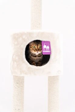 Petrebels Anna 240 Krabpaal - Creme - 240 Tot 265 Cm - Met Plafondspanner -Kattenbenodigdheden Winkel 800x1200 19