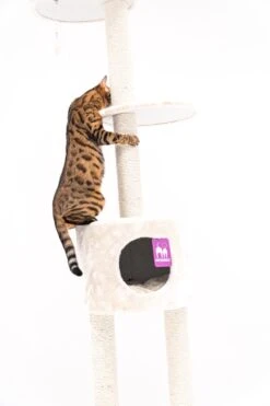 Petrebels Anna 240 Krabpaal - Creme - 240 Tot 265 Cm - Met Plafondspanner -Kattenbenodigdheden Winkel 800x1200 20