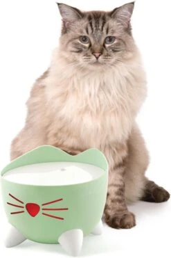 Catit Pixi Fountain - Kattendrinkbak - 20x20x16 Cm Groen -Kattenbenodigdheden Winkel 800x1200 26