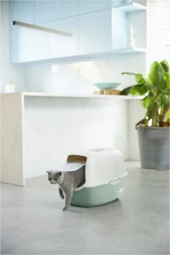 Rotho Bailey - Kattenbak - Groen/Zand 8 Rotho Bailey - Kattenbak - Groen/Zand -Kattenbenodigdheden Winkel 800x1200 29