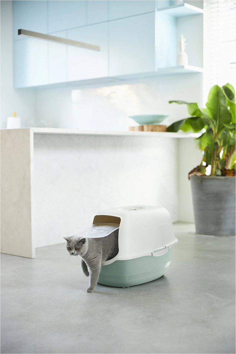 Rotho Bailey - Kattenbak - Groen/Zand 4 Rotho Bailey - Kattenbak - Groen/Zand - Afbeelding 4