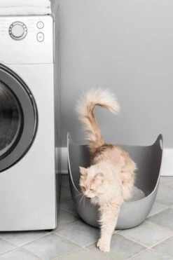 LitterLocker LitterBox - Grijs -Kattenbenodigdheden Winkel 800x1200 30