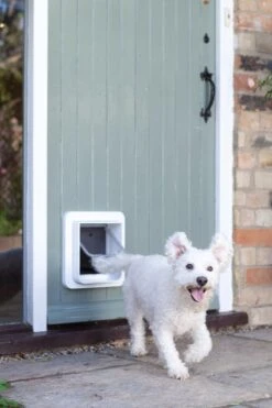 SureFlap Microchip Dualscan - Kattenluik - M - 14 X 12 Cm 22 SureFlap Microchip Dualscan - Kattenluik - M - 14 X 12 Cm -Kattenbenodigdheden Winkel 800x1200 35