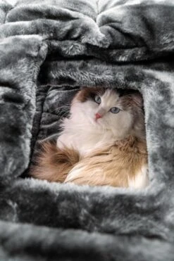 Petrebels Vault 117 Krabton XL - Pepper - 76 X 56 X 117 Cm 14 Petrebels Vault 117 Krabton XL - Pepper - 76 X 56 X 117 Cm -Kattenbenodigdheden Winkel 800x1200 39