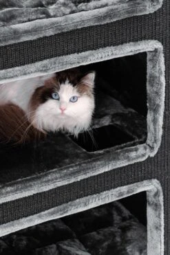 Petrebels Vault 117 Krabton XL - Pepper - 76 X 56 X 117 Cm 19 Petrebels Vault 117 Krabton XL - Pepper - 76 X 56 X 117 Cm -Kattenbenodigdheden Winkel 800x1200 40