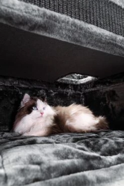 Petrebels Vault 117 Krabton XL - Pepper - 76 X 56 X 117 Cm 22 Petrebels Vault 117 Krabton XL - Pepper - 76 X 56 X 117 Cm -Kattenbenodigdheden Winkel 800x1200 42