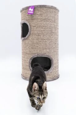Petrebels Dome 80 Krabton Voor Katten -Cappuccino - Ø 45 X 80 Cm - Stabiel 15 Petrebels Dome 80 Krabton Voor Katten -Cappuccino - Ø 45 X 80 Cm - Stabiel -Kattenbenodigdheden Winkel 800x1200 46