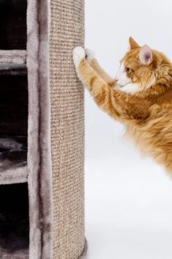 Petrebels Superdome 120 Krabton Voor Katten - Cappuccino - 49 X 49 X 120 Cm -Kattenbenodigdheden Winkel 800x1200 51