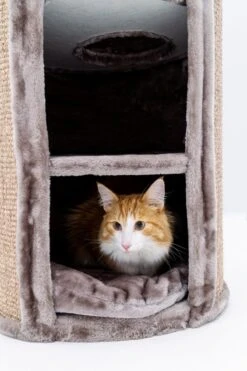 Petrebels Superdome 120 Krabton Voor Katten - Cappuccino - 49 X 49 X 120 Cm -Kattenbenodigdheden Winkel 800x1200 53