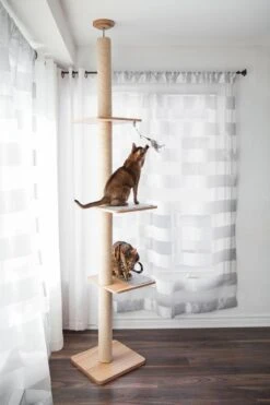 BeOneBreed Katt3 EVO Tower - Krabpaal Voor Katten Van Vloer Tot Plafond – Inclusief 3 Vilten Matjes En Hangspeeltje - Gelamineerd Hout - Maximale Hoogte 254 Cm 11 BeOneBreed Katt3 EVO Tower - Krabpaal Voor Katten Van Vloer Tot Plafond – Inclusief 3 Vilten Matjes En Hangspeeltje - Gelamineerd Hout - Maximale Hoogte 254 Cm -Kattenbenodigdheden Winkel 800x1200 6