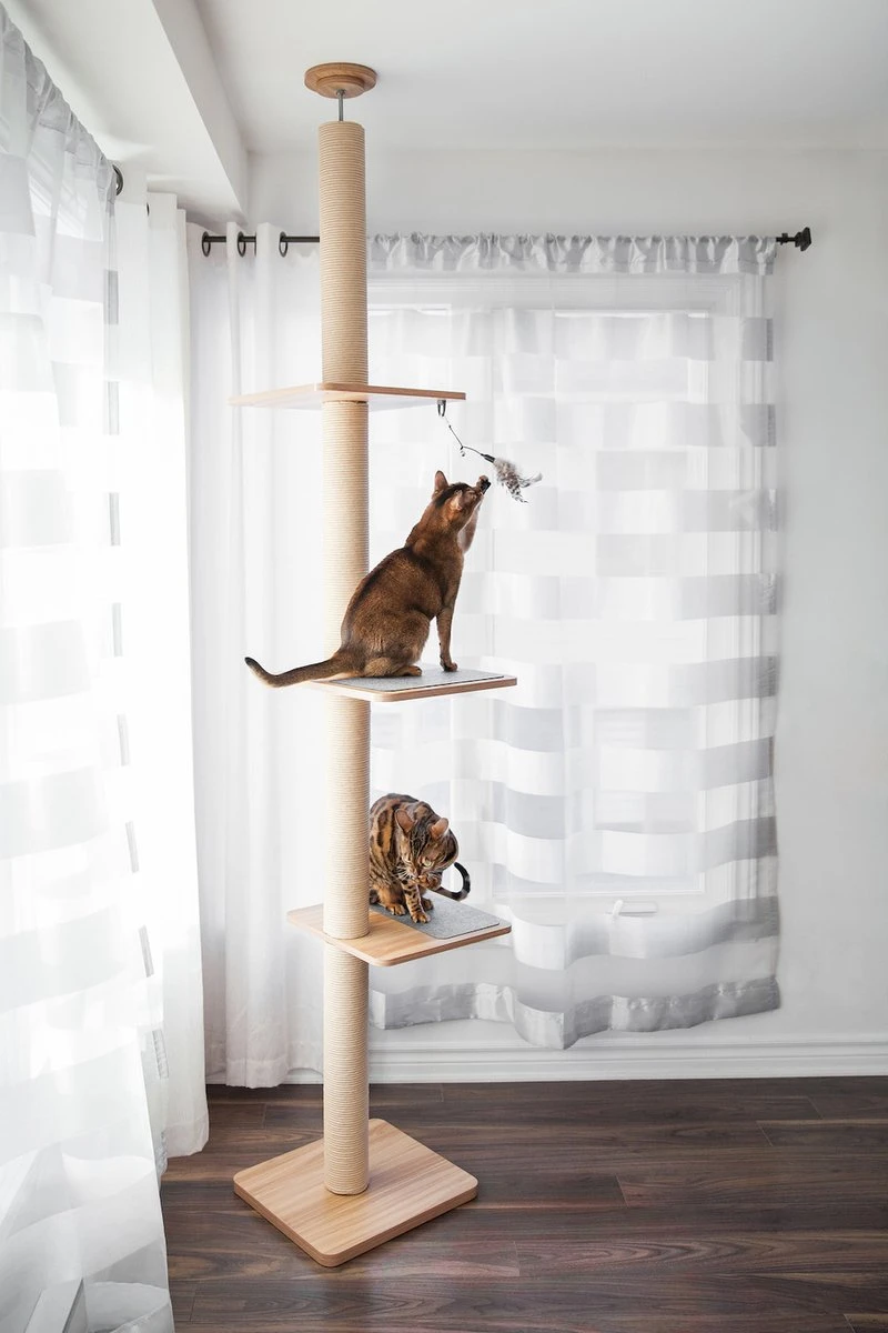 BeOneBreed Katt3 EVO Tower - Krabpaal Voor Katten Van Vloer Tot Plafond – Inclusief 3 Vilten Matjes En Hangspeeltje - Gelamineerd Hout - Maximale Hoogte 254 Cm 3 BeOneBreed Katt3 EVO Tower - Krabpaal Voor Katten Van Vloer Tot Plafond – Inclusief 3 Vilten Matjes En Hangspeeltje - Gelamineerd Hout - Maximale Hoogte 254 Cm - Afbeelding 3