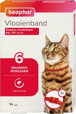 Beaphar Vlooienband Kat - Rood - 1 Stuk -Kattenbenodigdheden Winkel 804x1200 1