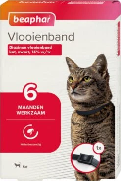Beaphar Vlooienband Kat - Vlooienbestrijding - Zwart -Kattenbenodigdheden Winkel 804x1200