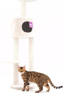 Petrebels Anna 240 Krabpaal - Creme - 240 Tot 265 Cm - Met Plafondspanner -Kattenbenodigdheden Winkel 809x1200 5