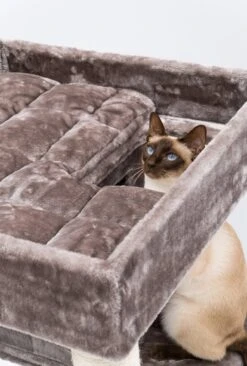 Petrebels Lodge 107 Krabpaal - Cappuccino - Design - Zeer Stabiel -Kattenbenodigdheden Winkel 810x1200 4