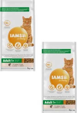 Iams Cat Adult Zalm - Kattenvoer - 2 X 3 Kg -Kattenbenodigdheden Winkel 817x1200 1