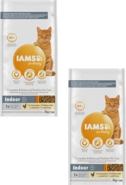 Iams Cat Adult Indoor - Kattenvoer - 2 X Kip 3 Kg -Kattenbenodigdheden Winkel 817x1200