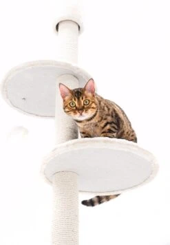 Petrebels Anna 240 Krabpaal - Creme - 240 Tot 265 Cm - Met Plafondspanner -Kattenbenodigdheden Winkel 832x1200 1