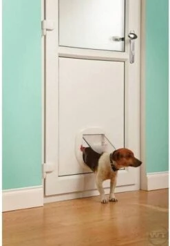 Petsafe Kattenluik - Grote Kat - Transparant -Kattenbenodigdheden Winkel 832x1200 2