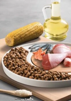 Micho Adult Cat - Premium Kattenvoer - 15 Kg -Kattenbenodigdheden Winkel 842x1200 1