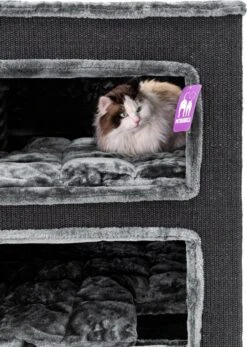 Petrebels Vault 117 Krabton XL - Pepper - 76 X 56 X 117 Cm 15 Petrebels Vault 117 Krabton XL - Pepper - 76 X 56 X 117 Cm -Kattenbenodigdheden Winkel 854x1200 1