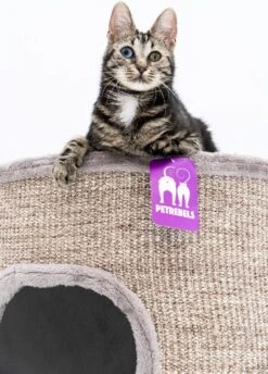 Petrebels Dome 80 Krabton Voor Katten -Cappuccino - Ø 45 X 80 Cm - Stabiel 16 Petrebels Dome 80 Krabton Voor Katten -Cappuccino - Ø 45 X 80 Cm - Stabiel -Kattenbenodigdheden Winkel 862x1200 2