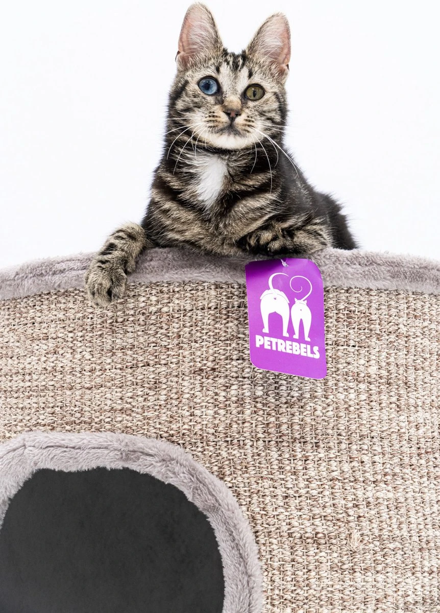 Petrebels Dome 80 Krabton Voor Katten -Cappuccino - Ø 45 X 80 Cm - Stabiel 8 Petrebels Dome 80 Krabton Voor Katten -Cappuccino - Ø 45 X 80 Cm - Stabiel - Afbeelding 8