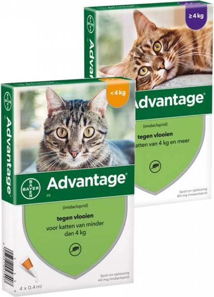 Bayer Anti Vlooienmiddel Advantage 80 > 4 Kg - 4 X 0,8 Ml 15 Bayer Anti Vlooienmiddel Advantage 80 > 4 Kg - 4 X 0,8 Ml - Afbeelding 15