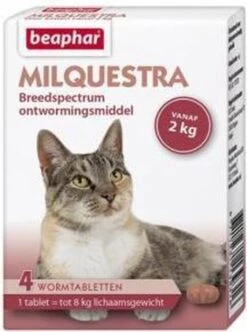 Beaphar Milquestra Kleine Kat/kitten - 0,5 Tot 4 Kg - 2 Tabletten -Kattenbenodigdheden Winkel 893x1200 4