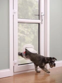 Petsafe Kattenluik - Grote Kat - Transparant -Kattenbenodigdheden Winkel 893x1200 7