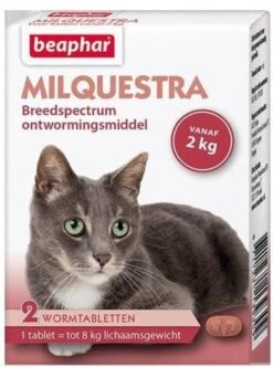 Beaphar Milquestra Kleine Kat/kitten - 0,5 Tot 4 Kg - 2 Tabletten -Kattenbenodigdheden Winkel 894x1200 6