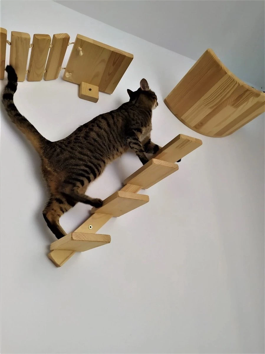 Kattentrap Hout - Linksonder Naar Rechtsboven - Handgemaakte Kattenladder - Katten Klimmuur Klimwand 2 Kattentrap Hout - Linksonder Naar Rechtsboven - Handgemaakte Kattenladder - Katten Klimmuur Klimwand - Afbeelding 2