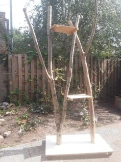 Natuurlijke Klimboom, Krabpaal -Kattenbenodigdheden Winkel 900x1200 34