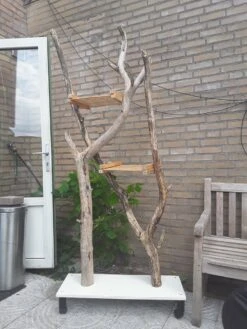 Natuurlijke Klimboom, Krabpaal -Kattenbenodigdheden Winkel 900x1200 36