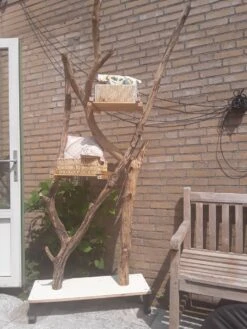 Natuurlijke Klimboom, Krabpaal -Kattenbenodigdheden Winkel 900x1200 37