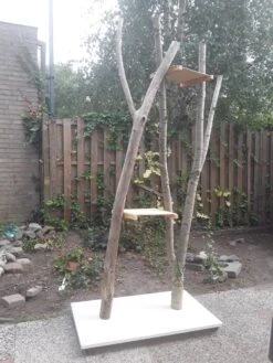 Natuurlijke Klimboom, Krabpaal -Kattenbenodigdheden Winkel 900x1200 38