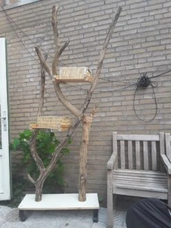 Natuurlijke Klimboom, Krabpaal -Kattenbenodigdheden Winkel 900x1200 39