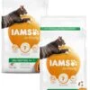 Iams Cat Adult Zalm - Kattenvoer - 2 X 3 Kg