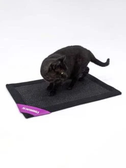 Petrebels Mastermat 60 Katten Krabmat - Zwart - 60 X 40 Cm - Zeer Sterk -Kattenbenodigdheden Winkel 900x1200 55