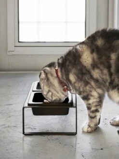 Yamazaki Eetbak - Voederbak Kat - Tweeledig - Zwart 16 Yamazaki Eetbak - Voederbak Kat - Tweeledig - Zwart -Kattenbenodigdheden Winkel 901x1200 2