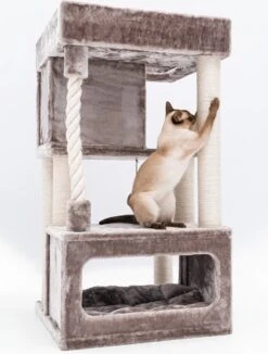 Petrebels Lodge 107 Krabpaal - Cappuccino - Design - Zeer Stabiel -Kattenbenodigdheden Winkel 908x1200