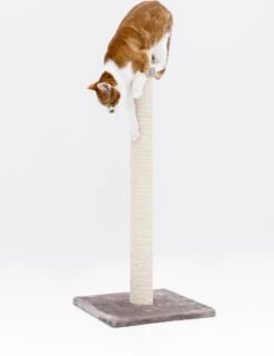 Petrebels Maine 90 Krabpaal - Cappuccino - 40 X 40 X 90 Cm - Extra Stabiel -Kattenbenodigdheden Winkel 927x1200 3