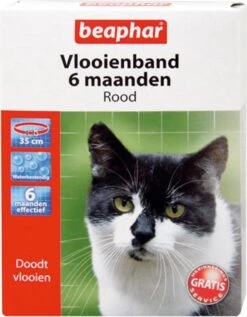 Beaphar Vlooienband Kat - Rood - 1 Stuk -Kattenbenodigdheden Winkel 934x1200