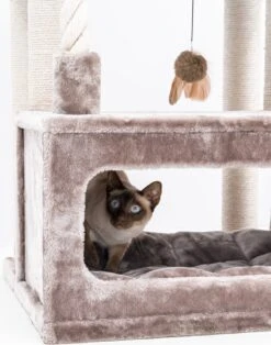 Petrebels Lodge 107 Krabpaal - Cappuccino - Design - Zeer Stabiel -Kattenbenodigdheden Winkel 943x1200 1