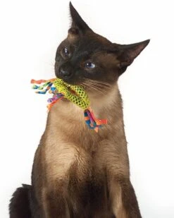 Petstages Dental Health Chew Kattenspeelgoed - Catnip -Kattenbenodigdheden Winkel 960x1200 2