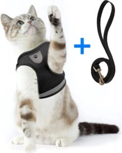 Ease Store Kattentuigje – Maat M – Met Looplijn – Kittentuigje – Dierentuigje – Hondentuigje – Reflecterend – Zwart -Kattenbenodigdheden Winkel 960x1200 5